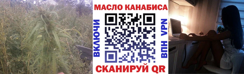 Купить  Алагир  ТГК гашишное масло 